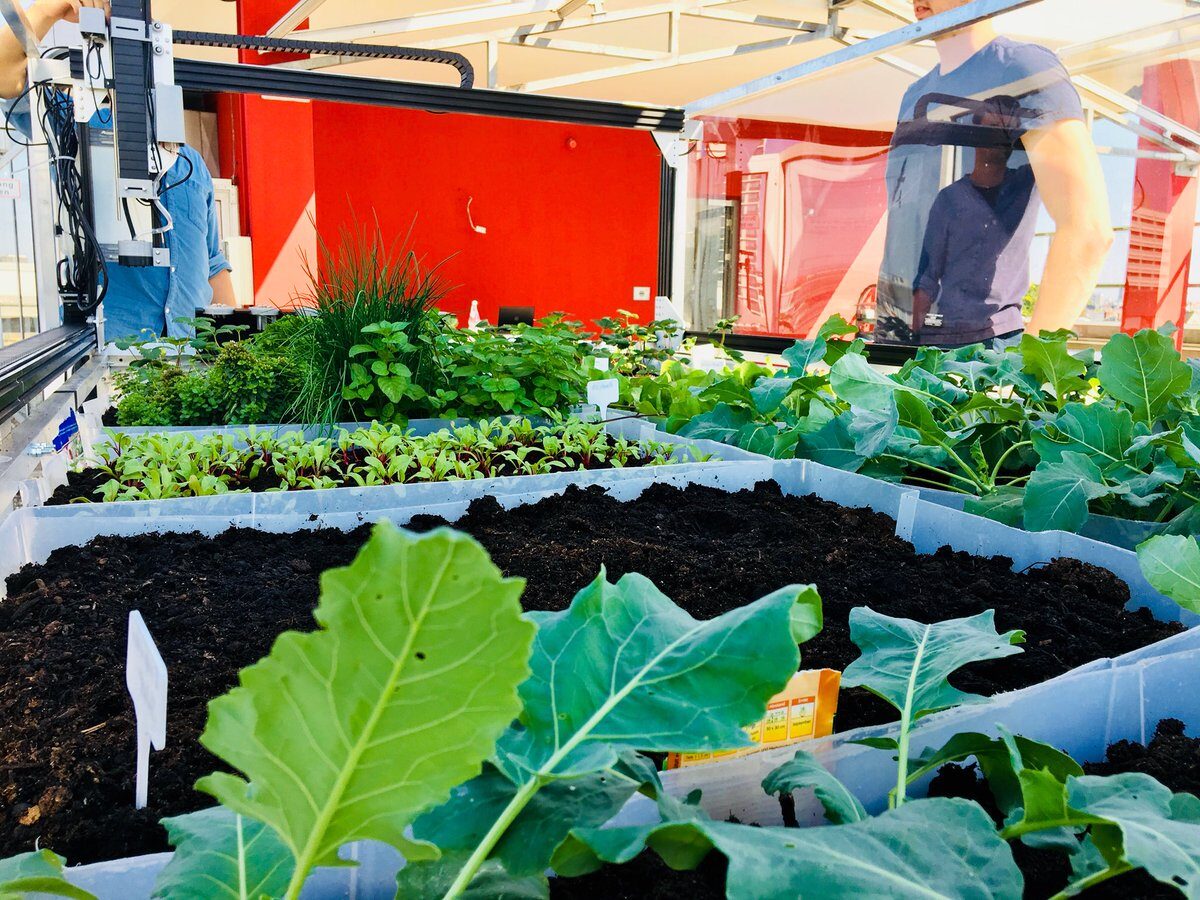 Farmbot image