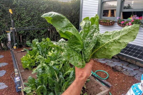 Farmbot image