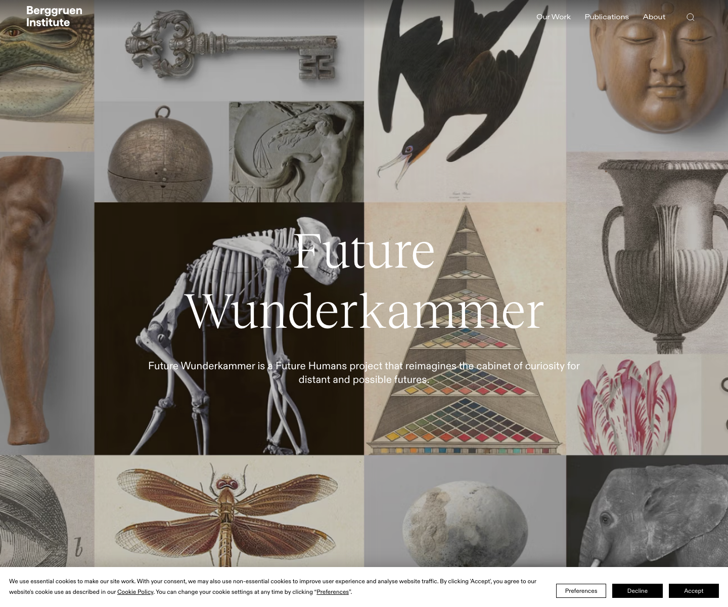 Future Wunderkammer Berggruen project page screenshot